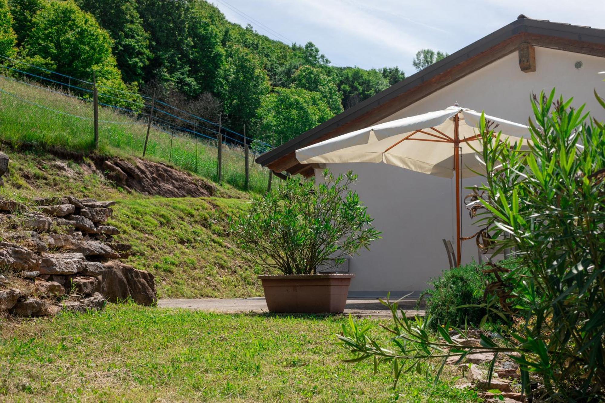 Agriturismo Riva Dei Coz Sequsino Exterior photo